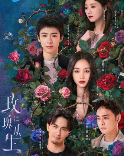 大陸劇【玫瑰叢生/蟬女/最愛的你/愛如蟬翼】2026年